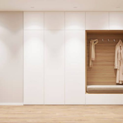 3d illustration. Entrance hall in the apartment with wardrobe. Front view